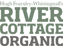 Load image into Gallery viewer, Golden Glow - Organic Ferment