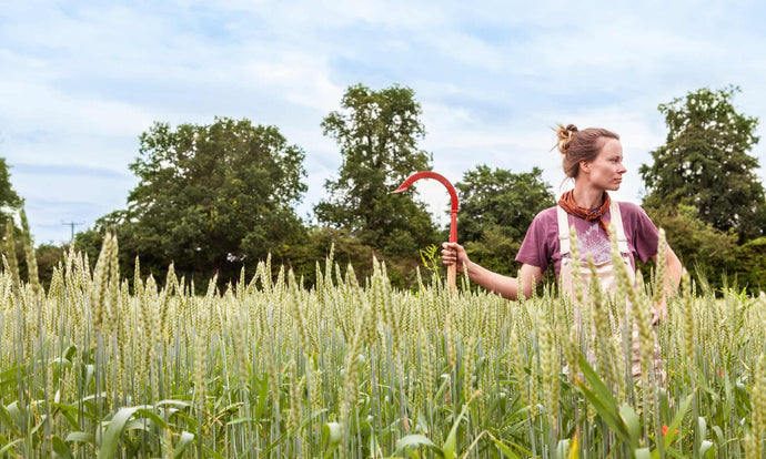 Why regenerative agriculture is food’s latest buzzword