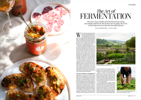 THE ART OF FERMENTATION